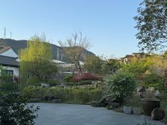 -春色如许·茶食餐厅(桃李春风店)