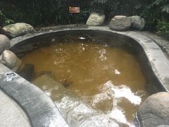 -青城道汤池