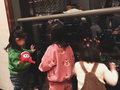 -嘉定凯悦·咖啡厅