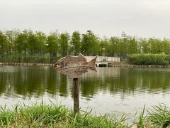 -春花秋色城市公园