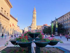 -皮拉尔圣母圣殿主教座堂