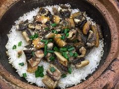 招牌黄鳝煲仔饭-红星光发煲仔饭(大石街店)