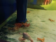 -白鹿仓冰雪海洋世界