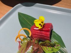 蓝鳍金枪鱼中脂-初花·日本料理