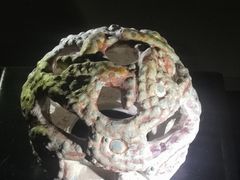 -鸿山遗址博物馆