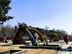 -沈阳植物园