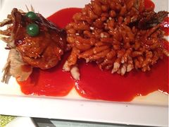 松树桂鱼-苏州阳澄湖澜廷酒店