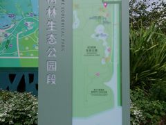 -福田红树林生态公园