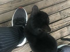-瑞派名望24h动物医院异宠专科·猫专科·骨科·重症监护分院