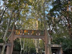 -灵谷景区