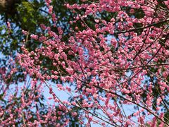 -宁波市保国寺古建筑博物馆