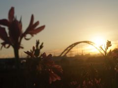-那考河湿地公园