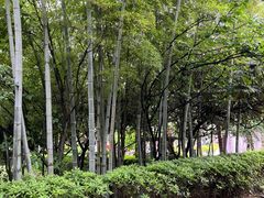 -故乡缘·香格里拉山庄(冷竹路店)