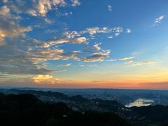 -大金鹰园