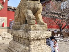 -五台山风景名胜区-罗睺寺