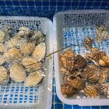 海鲜季