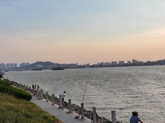 -海鸥岛