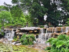 -东莞植物园