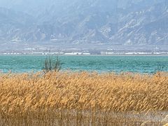 -野鸭湖国家湿地公园