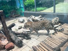 -昆明动物园