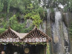 -西双版纳原始森林公园