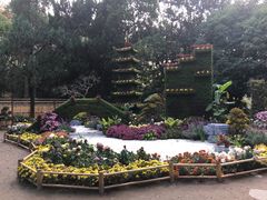 -汇龙潭