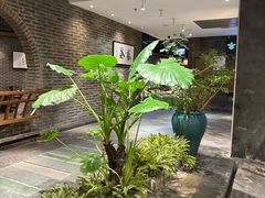 -青藤茶馆(南山路店)