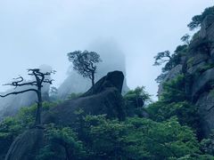 -三清山风景名胜区