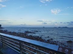 -野狸岛