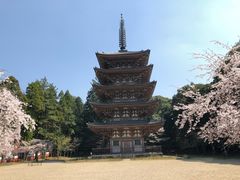 -醍醐寺