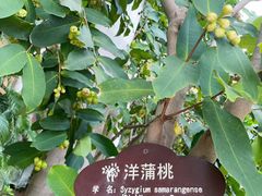 -亚马逊丛林水乐园