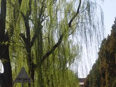 -东华门大街小区