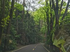 -缙云山景区