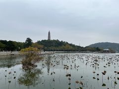 -顺峰山公园