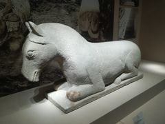 -宁夏博物馆