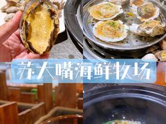 -苏大嘴海鲜牧场(奥林匹克店)