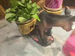 -慢丽江·云南野生菌土鸡锅(付家庄店)