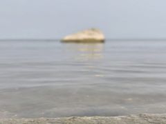 -恋羊时代黑山羊火锅(滨海大道店)