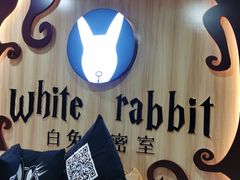 -白兔子密室(长寿路店)