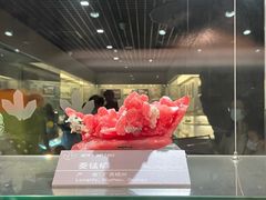 -中国地质博物馆