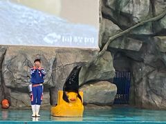 -威海华夏城景区