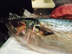 -乾山寿司(好运街店)