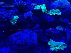 -上和臻品中国菜(花园街店)