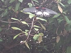 -新田360广场(上海华侨城店)