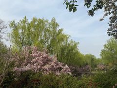 -石家庄市植物园