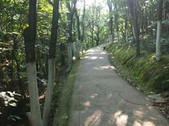 -青龙山公园