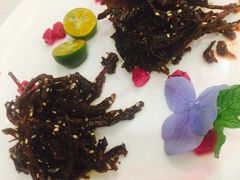 -南山鲜虾面·活鲜小馆·海味大连菜(南山总店)