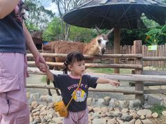 -泉州海丝野生动物世界