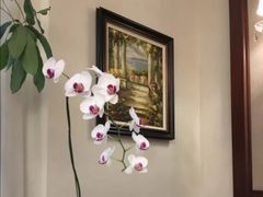 -南山鲜虾面·活鲜小馆·海味大连菜(南山总店)