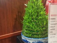-裕和堂中医推拿艾灸(太古汇臻品店)